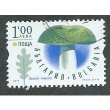 BUL 2014 1L 'FUNGI' FINE USED (EBID50-907)