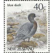 NEW ZEALAND, BIRD, Blue Duck, Hymenolaimus, grey 1987, 40c, #3