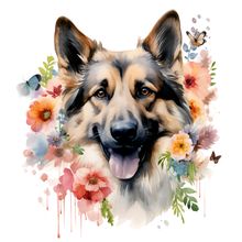 Bohemian Shepherd (2) Poster Canvas Movie Film Print A0 A1 A2 A3 A4 A5 A6 Art Wa