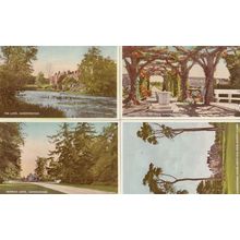 Sandringham from Scotch Clump 4x Valentines Beautiful Vintage Norfolk Postcard s
