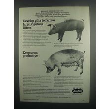 1984 Moorman's Gilt Development Program Ad