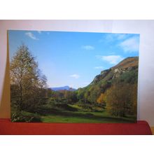 ACHRAY FOREST, THE TROSSACHS, SCOTLAND unused postcard, J. Arthur Dixon =