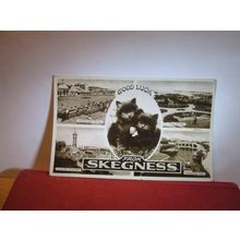 multiview, SKEGNESS, LINCOLNSHIRE used vintage postcard by Bamforth . 1959 pm =