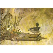 Art KENNETH LILLY Wren and Vole Postcard (Medici 1856)