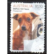 AUSTRALIA: 2021, $1.10, 150 YEARS OF THE R.S.P.C.A, 'SHELTER', USED S/A, 233/262
