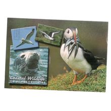 COASTAL WILDLIFE OF PEMBROKESHIRE used postcard 2005 postmark /