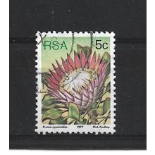 SouthAfrica.SG418 5c Protea Cynaroides.Fine Used.Sep25k