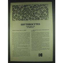 1978 Kodak Eastman Biological Stains Ad - Erythrocytes