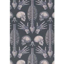 Kaleidoscope Of Spinal Cords Hands Skulls Skeleton Morbid Postcard