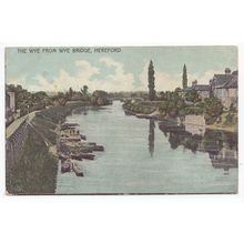 The Wye from Wye Bridge Hereford Herefordshire 1908 Wilson & Phillips Postcard