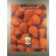 1997 Edy's Whole Fruit Strawberry Sorbet Ad - Some strawberries end up on