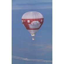 Budweiser Beer Hot Air Balloon Cross Channel Race Postcard