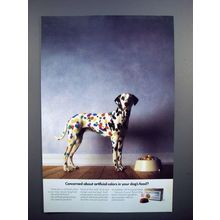 1991 Purina Nature's Choice Dog Food Ad - Dalmation