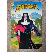 BADGER # 41 (1988) FIRST COMICS (VFN Condition)