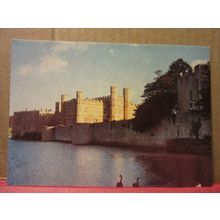 BLACK SWANS, LEEDS CASTLE, MAIDSTONE, KENT unused postcard =