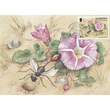 Sand Digger Wasp First Day Cover Stamp Guerney Limited Edition Insect Postcard