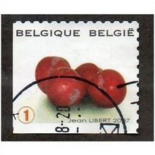 BEL 2007 (52c)(S/A) 'FRUIT- CHERRIES' FINE USED (EBID10398)