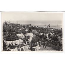 The Rock Gardens West Cliff Ramsgate Kent RP Postcard 7776