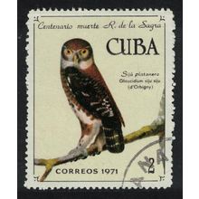 Caribic Pygmy owl Bird 1971 CTO SG#1891