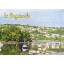 St. Dogmaels Cardigan Wales Boats River Teifi Postcard