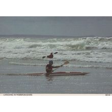 Canoeing In Pembrokeshire Welsh Boat Race Postcard