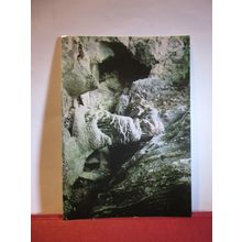 KITLEY CAVES, YEALMPTON, near PLYMOUTH, DEVON used postcard dated 1982 =