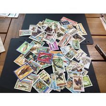 ICOLLECTZONE Kampuchea Packet Lot as received (B600-53)