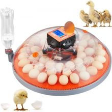 48 Egg Incubator, Incubators for Hatching Eggs, 360 Automatic Egg Turner wit...