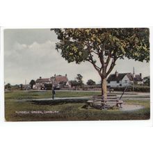 Runsell Green Danbury Postcard Essex D8