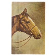 HORSE'S HEAD unused vintage postcard by J. Salmon