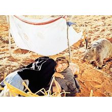 Walkabout_1971_1 Poster Canvas Movie Film Print A0 A1 A2 A3 A4 A5 A6 Art Wall De