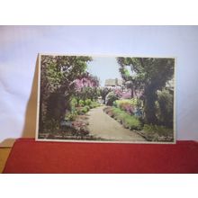 THE SWISS COTTAGE, FENSTANTON, HUNTINGDONSHIRE unused vintage postcard R. Tuck =