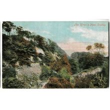 Postcard UK England Worcestershire Dudley Wren's Nest geology nature posted 1904