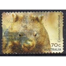 Australia 2015 Australian Native Animals - Common Wombat 70c s/a Used