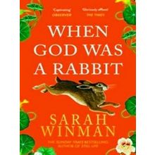 When God Was A Rabbit
