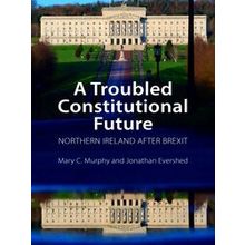A Troubled Constitutional Future