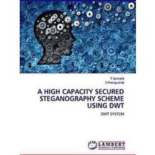 A High Capacity Secured Steganography Scheme Using Dwt