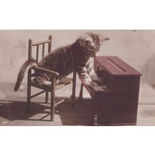 Cat Playing Miniature Toy Piano Kitten Cute Old Postcard