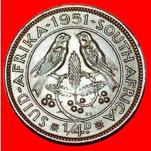 BIRDS (1951-1952): SOUTH AFRICA ★ 1/4 PENNY 1951! ★LOW START★NO RESERVE