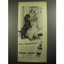 1956 Black & White Scotch Ad - Great Expectations