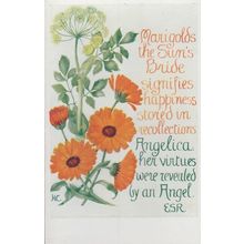 Marigold Flowers Angelica Purifies Bride Natural Remedy Song Songcard Postcard