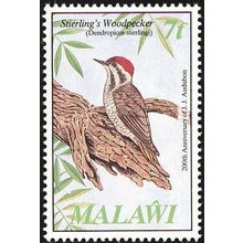 Malawi 1985 Audubon 7t Stierlings Woodpecker Mint NHM SG 733 Sc 470 stamp bird