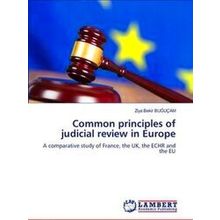 Common principles of judicial review in Europe