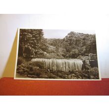 THE WATERFALL, CHEDDAR, SOMERSET unused vintage postcard RP by Valentine =