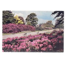 THE BROADWALK, ROYAL BOTANIC GARDENS, KEW LONDON .. used vintage postcard 1965 =