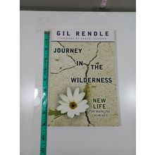 journey in the wilderness by gil rendle 2010 paperback