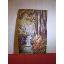 GROUDLE GLEN, Isle of Man used antique postcard by R. Tuck Oilette 1908 pm =