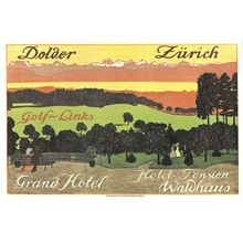 Dolder Zurich Grand Hotel Waldhaus Pension Switzerland Poster Postcard