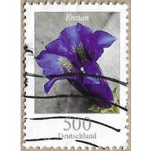 2011 - Stemless Gentian - 16824