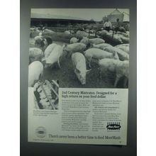 1985 MoorMan's 2nd Century Mintrates Ad